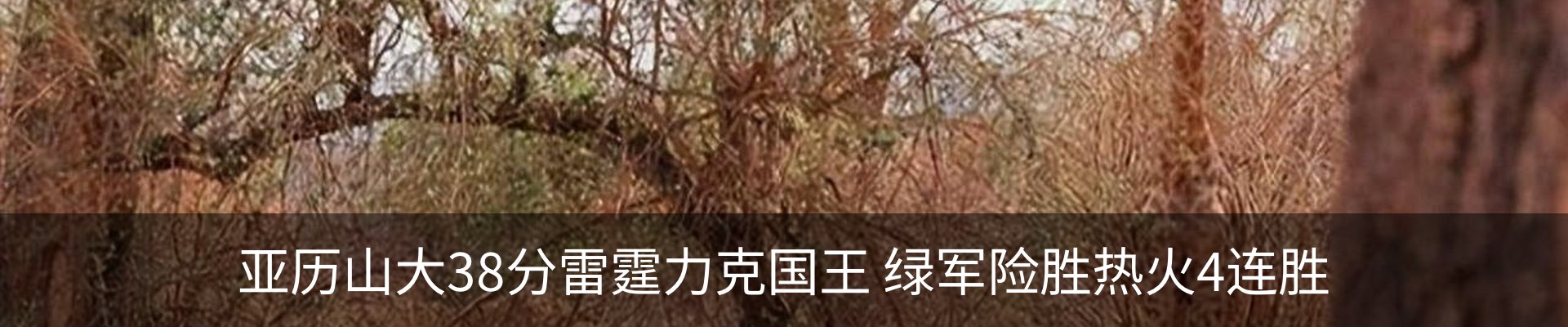 资讯中心